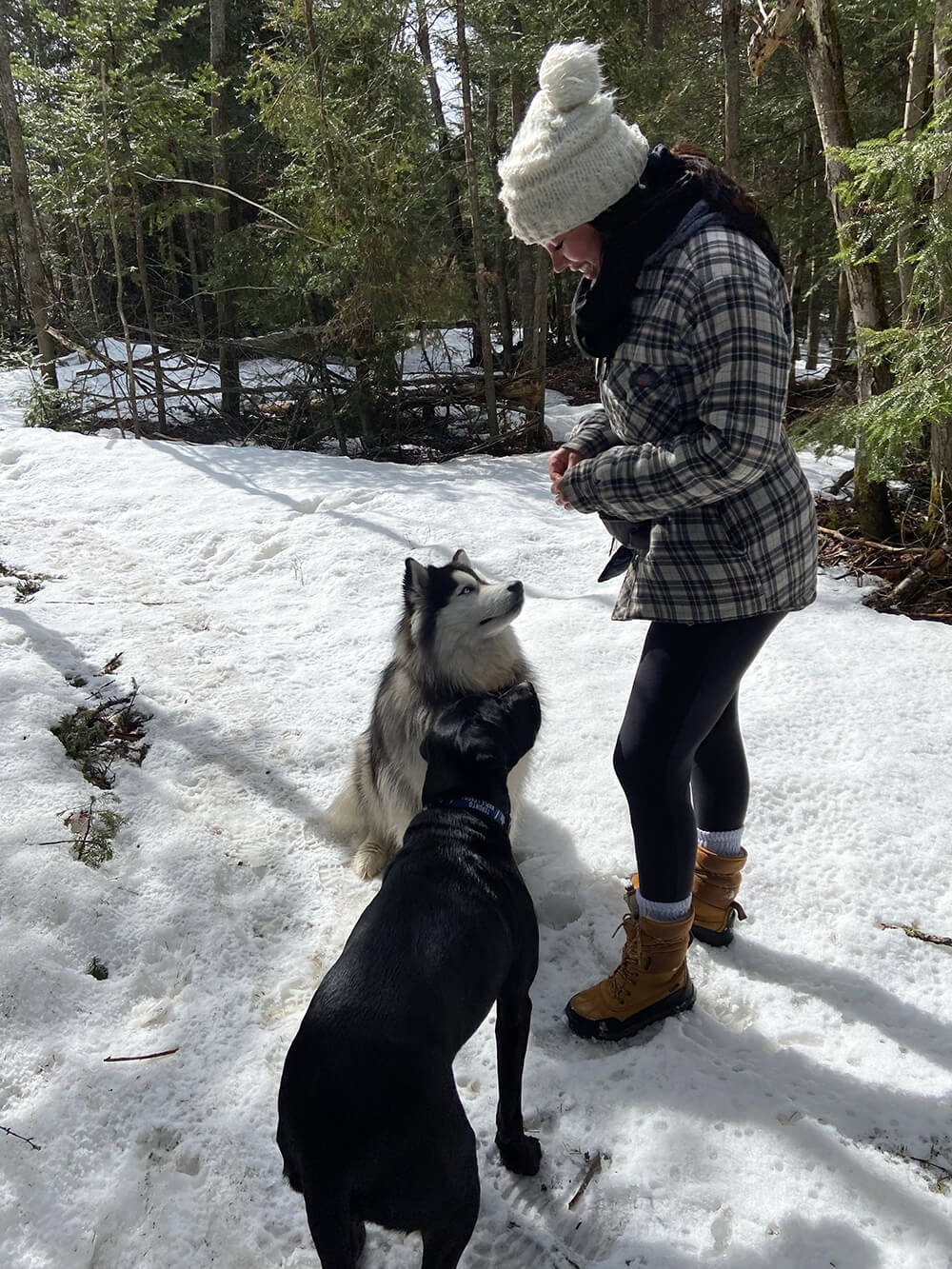 Alyssa Banting With dogs in the snow